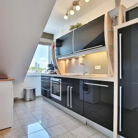 Seestern Seestern 8 *