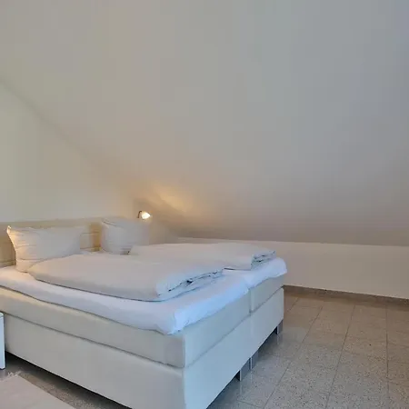 Seestern Seestern 8 *