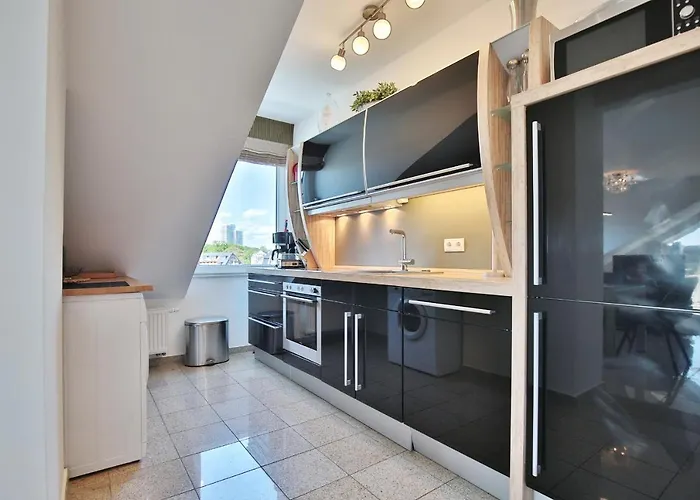 Seestern Seestern 8 *