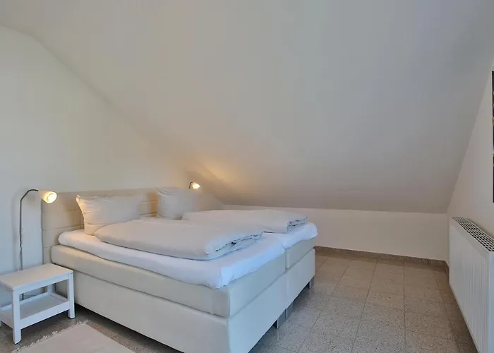 Seestern Seestern 8 *